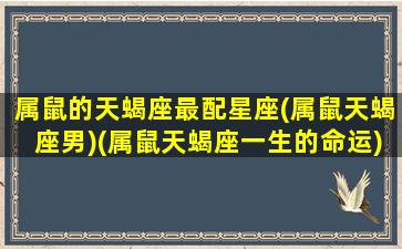 属鼠的天蝎座最配星座(属鼠天蝎座男)(属鼠天蝎座一生的命运)