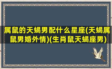 属鼠的天蝎男配什么星座(天蝎属鼠男婚外情)(生肖鼠天蝎座男)