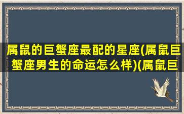 属鼠的巨蟹座最配的星座(属鼠巨蟹座男生的命运怎么样)(属鼠巨蟹座的致命弱点)