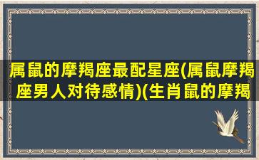 属鼠的摩羯座最配星座(属鼠摩羯座男人对待感情)(生肖鼠的摩羯座)