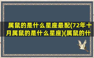 属鼠的是什么星座最配(72年十月属鼠的是什么星座)(属鼠的什么座1972)