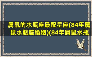 属鼠的水瓶座最配星座(84年属鼠水瓶座婚姻)(84年属鼠水瓶座2020年运势)