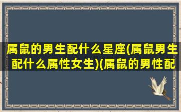 属鼠的男生配什么星座(属鼠男生配什么属性女生)(属鼠的男性配什么属相)