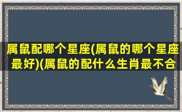 属鼠配哪个星座(属鼠的哪个星座最好)(属鼠的配什么生肖最不合适)