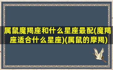 属鼠魔羯座和什么星座最配(魔羯座适合什么星座)(属鼠的摩羯)