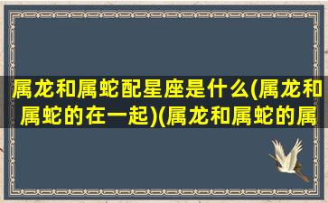 属龙和属蛇配星座是什么(属龙和属蛇的在一起)(属龙和属蛇的属相合吗)