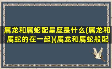 属龙和属蛇配星座是什么(属龙和属蛇的在一起)(属龙和属蛇般配吗)