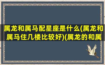 属龙和属马配星座是什么(属龙和属马住几楼比较好)(属龙的和属马的在一起会怎么样)