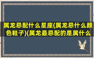 属龙忌配什么星座(属龙忌什么颜色鞋子)(属龙最忌配的是属什么的)