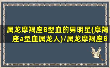 属龙摩羯座B型血的男明星(摩羯座a型血属龙人)/属龙摩羯座B型血的男明星(摩羯座a型血属龙人)-我的网站