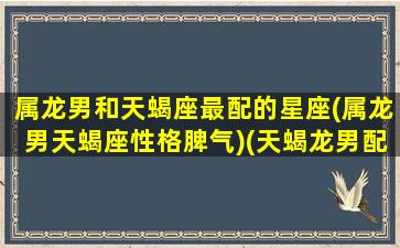 属龙男和天蝎座最配的星座(属龙男天蝎座性格脾气)(天蝎龙男配什么星座女)