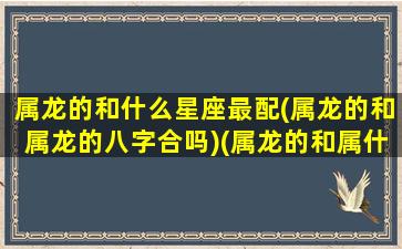 属龙的和什么星座最配(属龙的和属龙的八字合吗)(属龙的和属什么最般配)