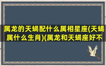 属龙的天蝎配什么属相星座(天蝎属什么生肖)(属龙和天蝎座好不好)