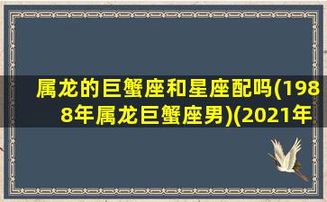 属龙的巨蟹座和星座配吗(1988年属龙巨蟹座男)(2021年88年属龙巨蟹女恋爱运)