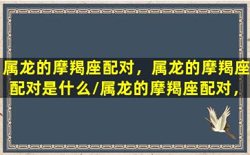 属龙的摩羯座配对，属龙的摩羯座配对是什么/属龙的摩羯座配对，属龙的摩羯座配对是什么-我的网站