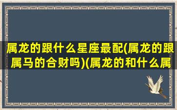 属龙的跟什么星座最配(属龙的跟属马的合财吗)(属龙的和什么属马的配吗)