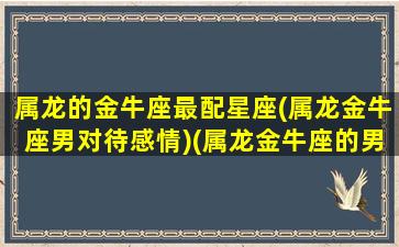 属龙的金牛座最配星座(属龙金牛座男对待感情)(属龙金牛座的男人怎么样)