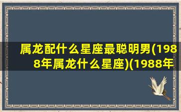 属龙配什么星座最聪明男(1988年属龙什么星座)(1988年属龙婚配什么生肖)