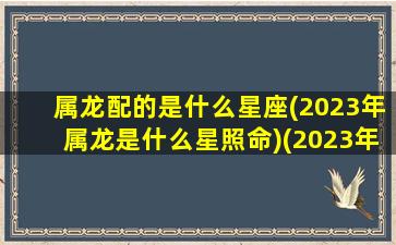 属龙配的是什么星座(2023年属龙是什么星照命)(2023年属龙人的感情婚姻)