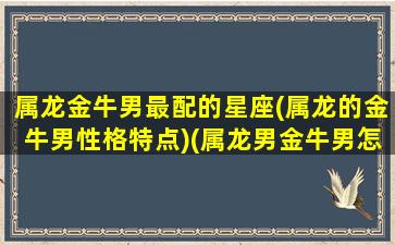 属龙金牛男最配的星座(属龙的金牛男性格特点)(属龙男金牛男怎么样)