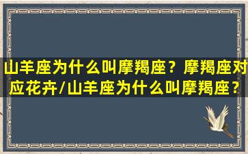 山羊座为什么叫摩羯座？摩羯座对应花卉/山羊座为什么叫摩羯座？摩羯座对应花卉-我的网站