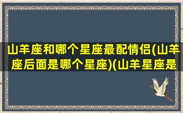 山羊座和哪个星座最配情侣(山羊座后面是哪个星座)(山羊星座是什么星座)