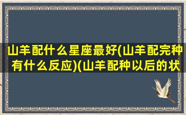 山羊配什么星座最好(山羊配完种有什么反应)(山羊配种以后的状况)