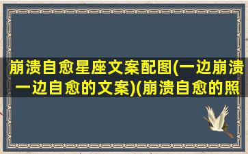 崩溃自愈星座文案配图(一边崩溃一边自愈的文案)(崩溃自愈的照片)