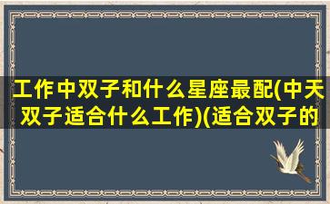 工作中双子和什么星座最配(中天双子适合什么工作)(适合双子的工作)