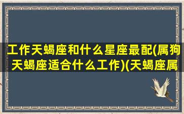 工作天蝎座和什么星座最配(属狗天蝎座适合什么工作)(天蝎座属狗的适合做什么工作)