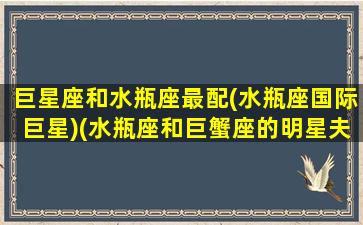 巨星座和水瓶座最配(水瓶座国际巨星)(水瓶座和巨蟹座的明星夫妻)