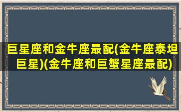 巨星座和金牛座最配(金牛座泰坦巨星)(金牛座和巨蟹星座最配)