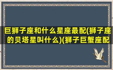 巨狮子座和什么星座最配(狮子座的贝塔星叫什么)(狮子巨蟹座配对指数)