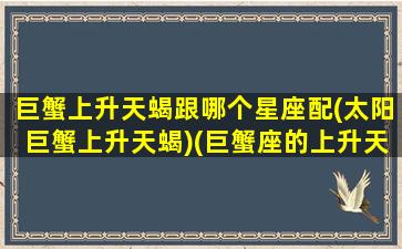 巨蟹上升天蝎跟哪个星座配(太阳巨蟹上升天蝎)(巨蟹座的上升天蝎)