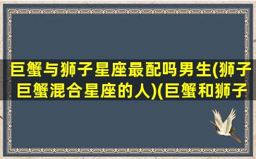 巨蟹与狮子星座最配吗男生(狮子巨蟹混合星座的人)(巨蟹和狮子座配对指数多少)