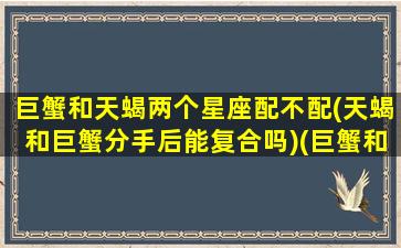 巨蟹和天蝎两个星座配不配(天蝎和巨蟹分手后能复合吗)(巨蟹和天蝎座,合得来吗)