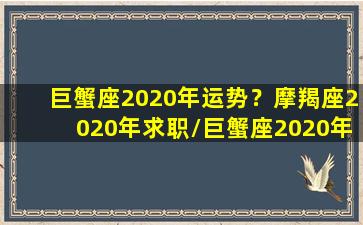 巨蟹座2020年运势？摩羯座2020年求职/巨蟹座2020年运势？摩羯座2020年求职-我的网站