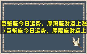 巨蟹座今日运势，摩羯座财运上涨/巨蟹座今日运势，摩羯座财运上涨-我的网站