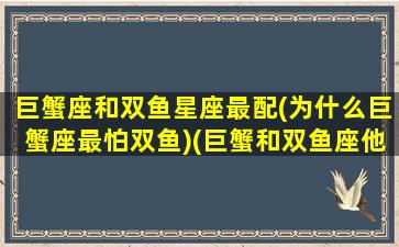 巨蟹座和双鱼星座最配(为什么巨蟹座最怕双鱼)(巨蟹和双鱼座他们会有什么矛盾)