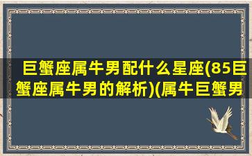 巨蟹座属牛男配什么星座(85巨蟹座属牛男的解析)(属牛巨蟹男性格爱情)