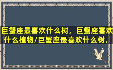 巨蟹座最喜欢什么树，巨蟹座喜欢什么植物/巨蟹座最喜欢什么树，巨蟹座喜欢什么植物-我的网站