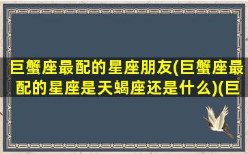 巨蟹座最配的星座朋友(巨蟹座最配的星座是天蝎座还是什么)(巨蟹座最搭配的星座是什么星一座)