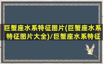 巨蟹座水系特征图片(巨蟹座水系特征图片大全)/巨蟹座水系特征图片(巨蟹座水系特征图片大全)-我的网站