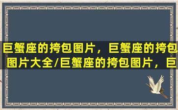 巨蟹座的挎包图片，巨蟹座的挎包图片大全/巨蟹座的挎包图片，巨蟹座的挎包图片大全-我的网站