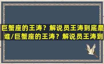 巨蟹座的王涛？解说员王涛到底是谁/巨蟹座的王涛？解说员王涛到底是谁-我的网站