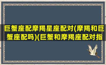 巨蟹座配摩羯星座配对(摩羯和巨蟹座配吗)(巨蟹和摩羯座配对指数)