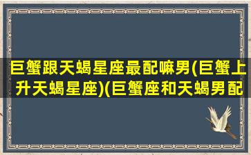 巨蟹跟天蝎星座最配嘛男(巨蟹上升天蝎星座)(巨蟹座和天蝎男配吗)