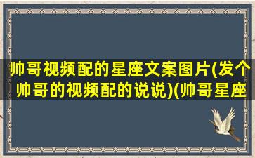 帅哥视频配的星座文案图片(发个帅哥的视频配的说说)(帅哥星座头像)