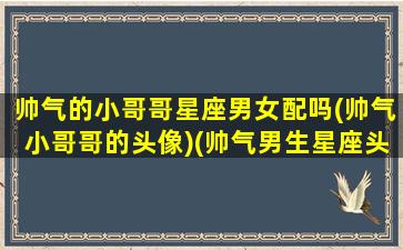 帅气的小哥哥星座男女配吗(帅气小哥哥的头像)(帅气男生星座头像)