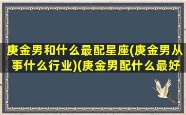 庚金男和什么最配星座(庚金男从事什么行业)(庚金男配什么最好)